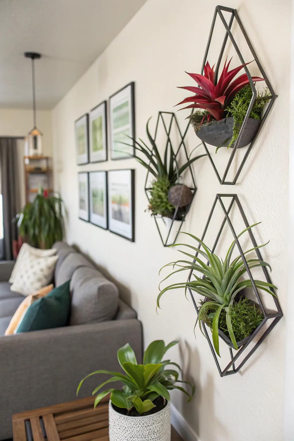 Geometric shapes bring a contemporary edge to air plant displays.