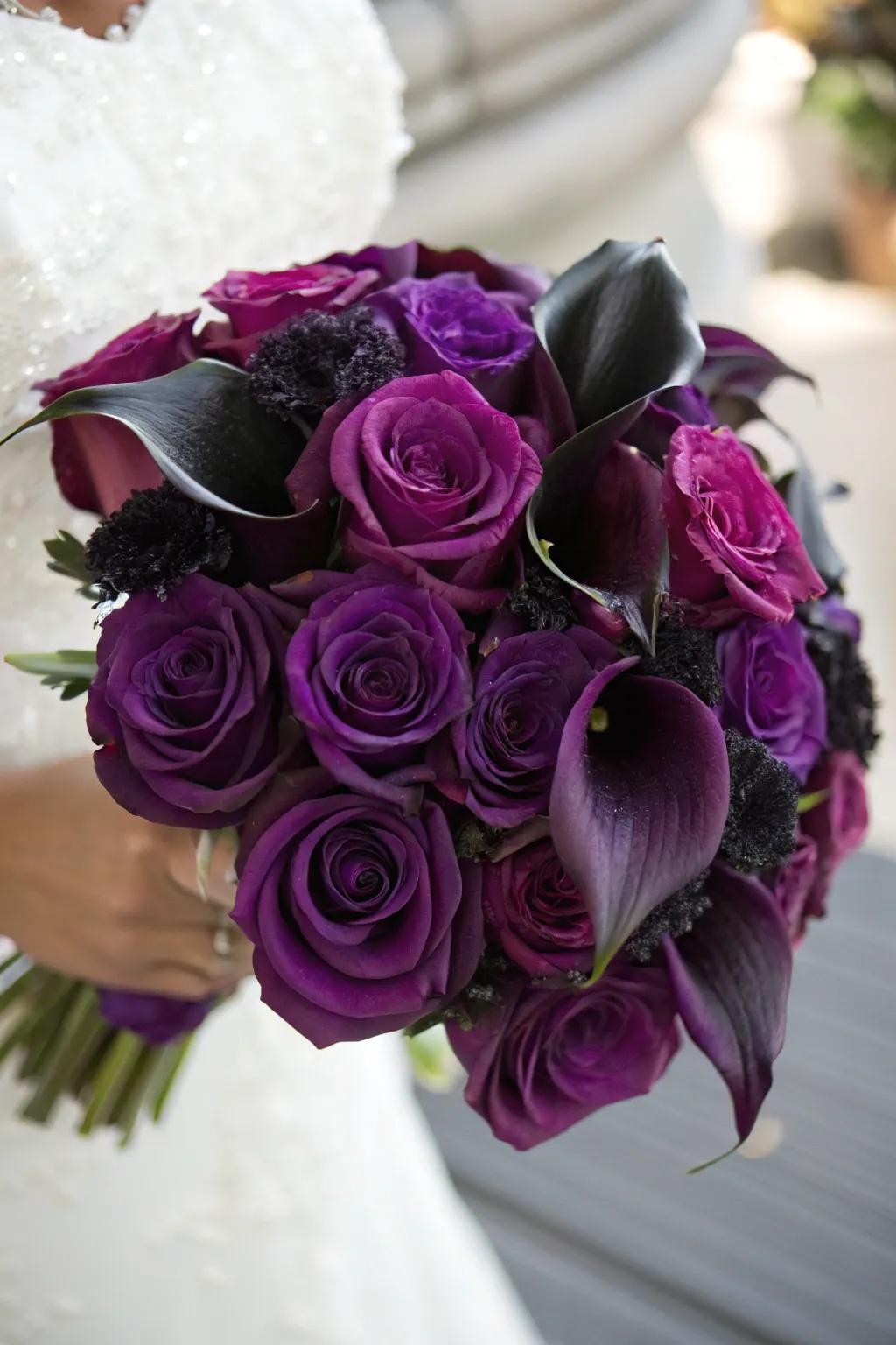 A stunning bouquet of deep purple roses and black calla lilies.