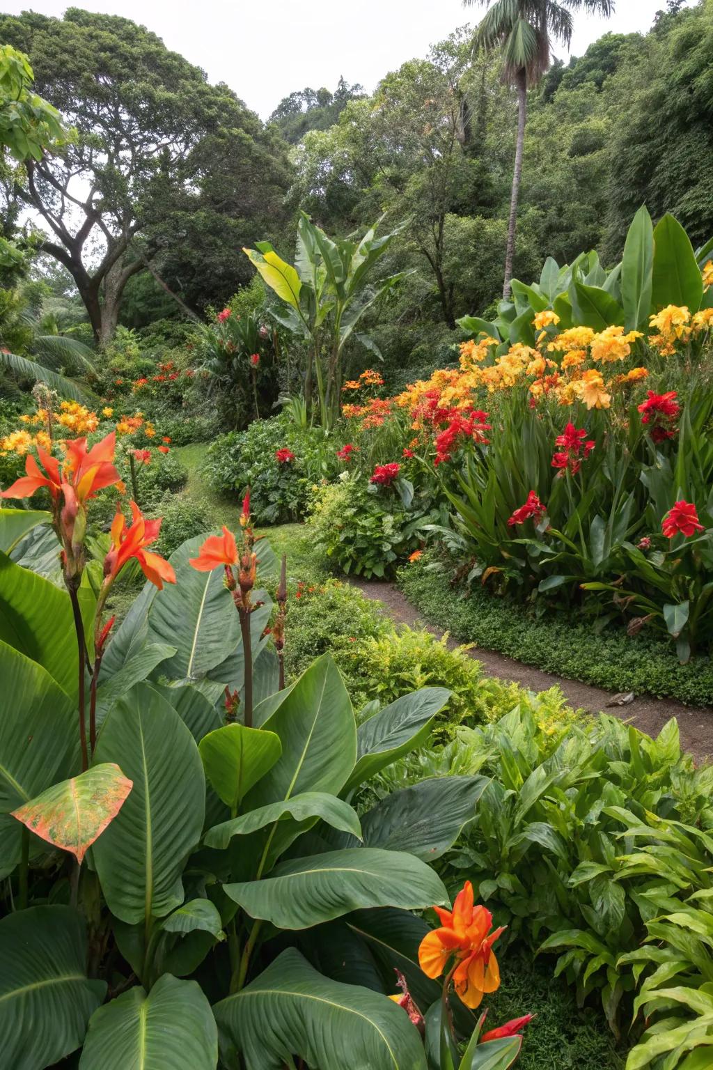 A backyard oasis with tropical plants including canna lilies.