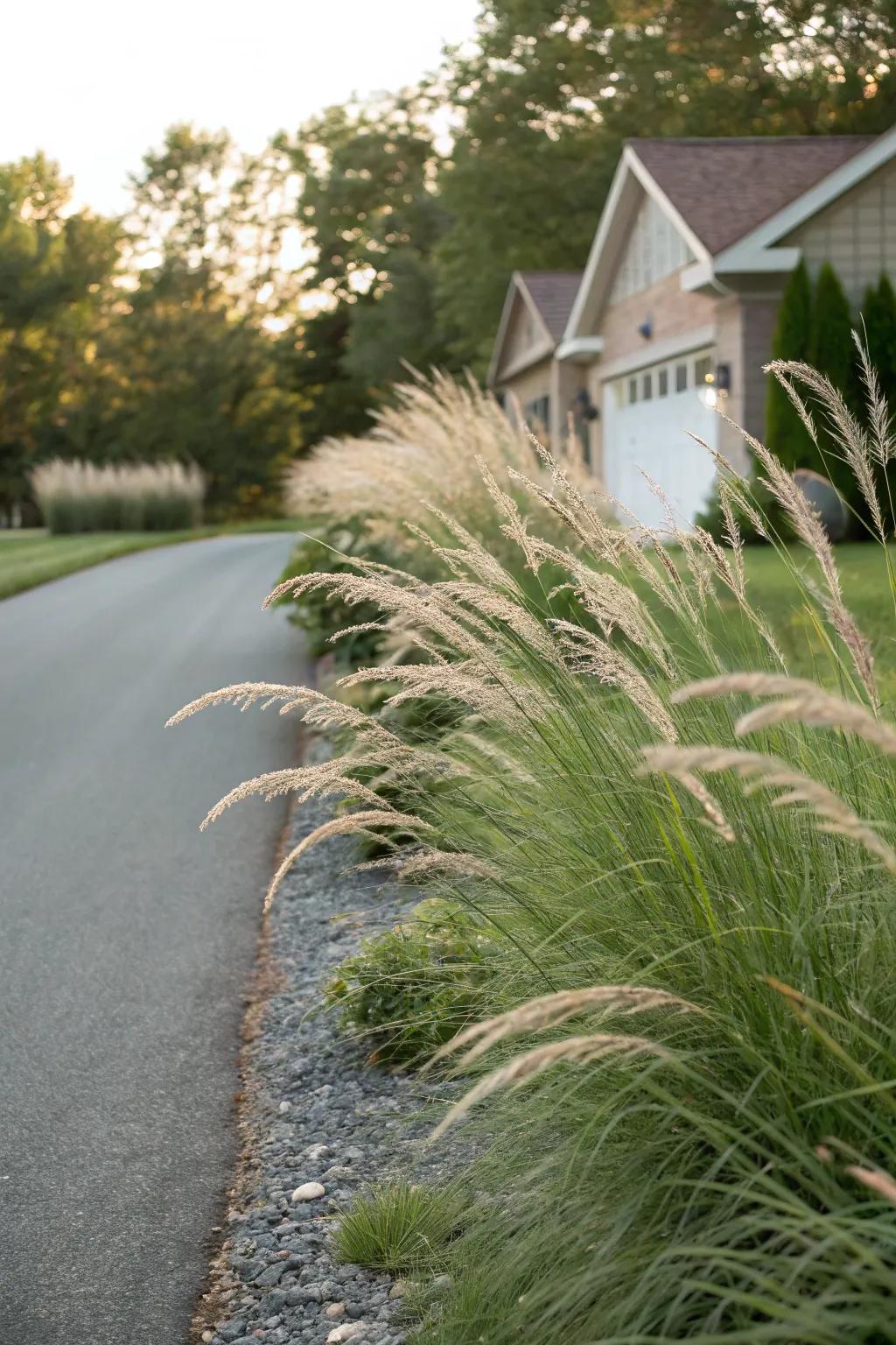 Ornamental grasses bring movement and a touch of elegance.