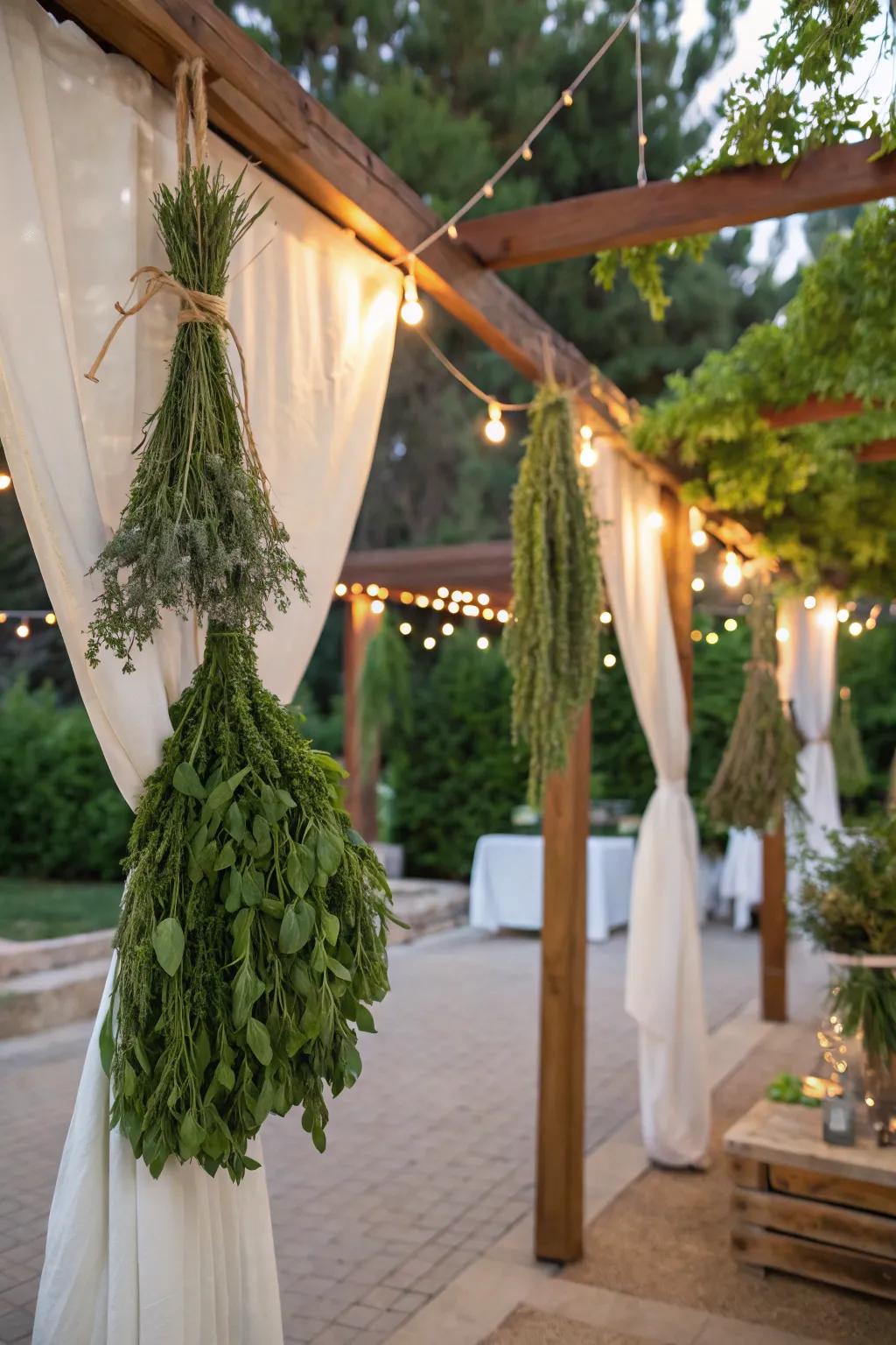 A fragrant sukkah adorned with hanging bundles of fresh herbs.