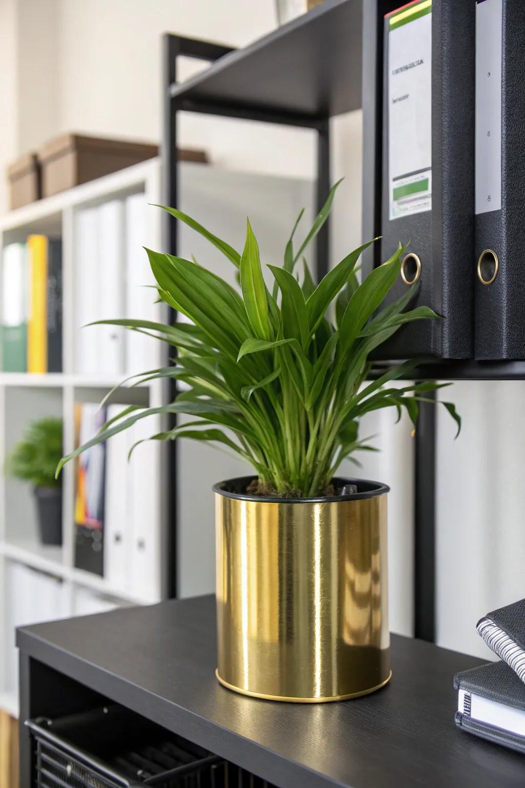 Gold plant holders add a dash of nature and elegance to your workspace.