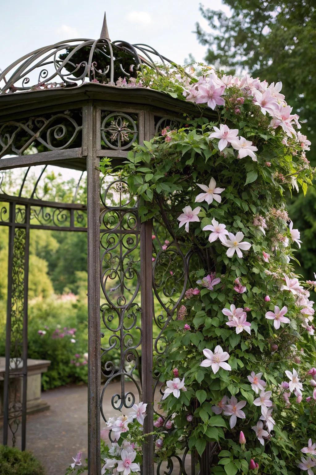 A wrought iron trellis adds durable elegance to a clematis display.