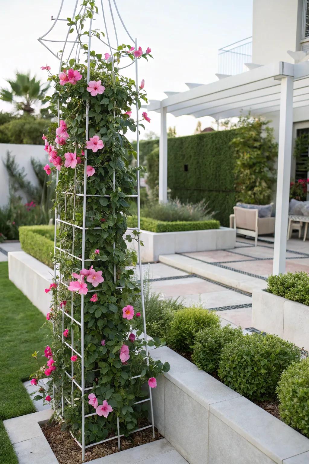 A sleek wire trellis provides modern support for mandevilla in a minimalist garden.