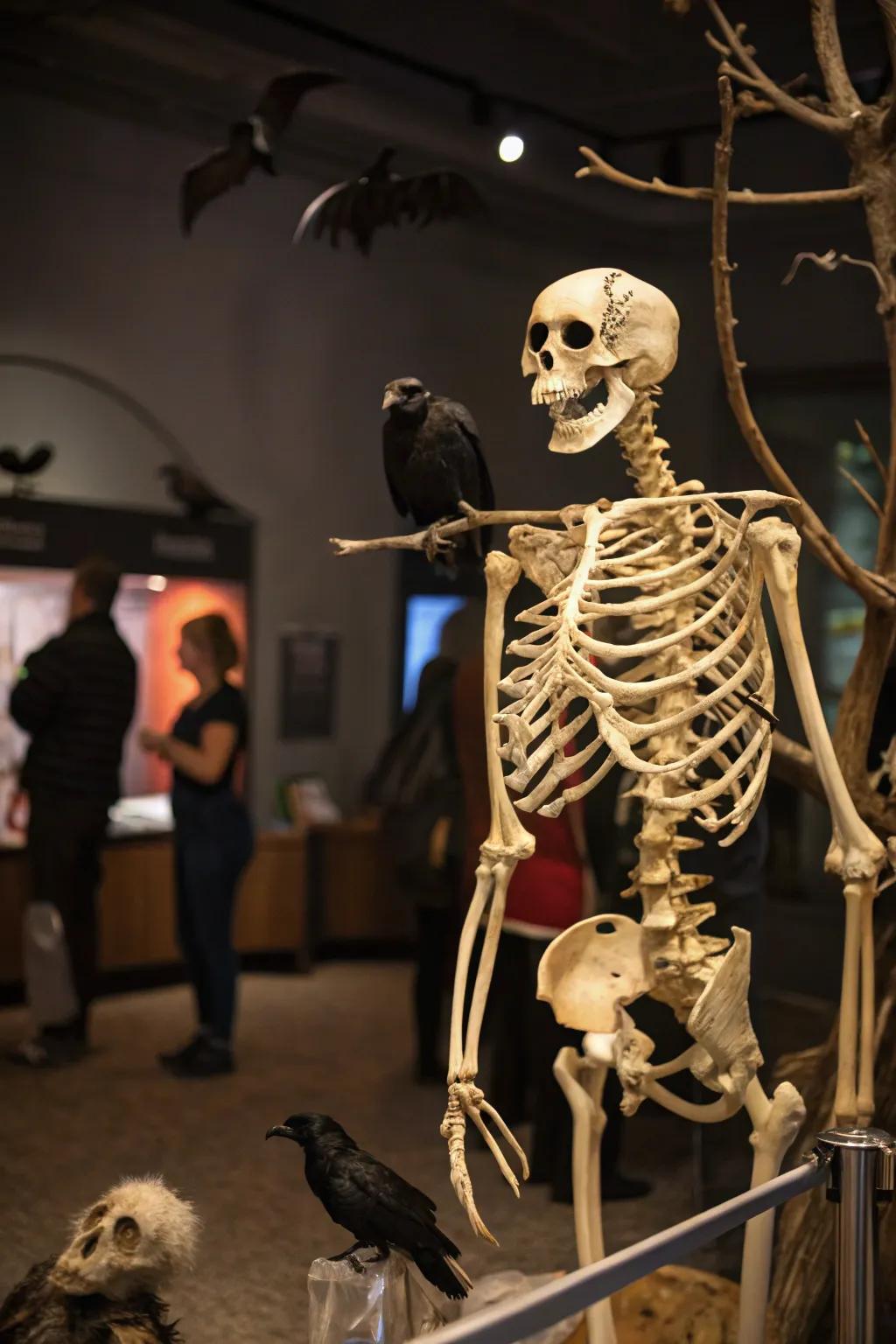 Animal companions add a playful element to the skeleton display.