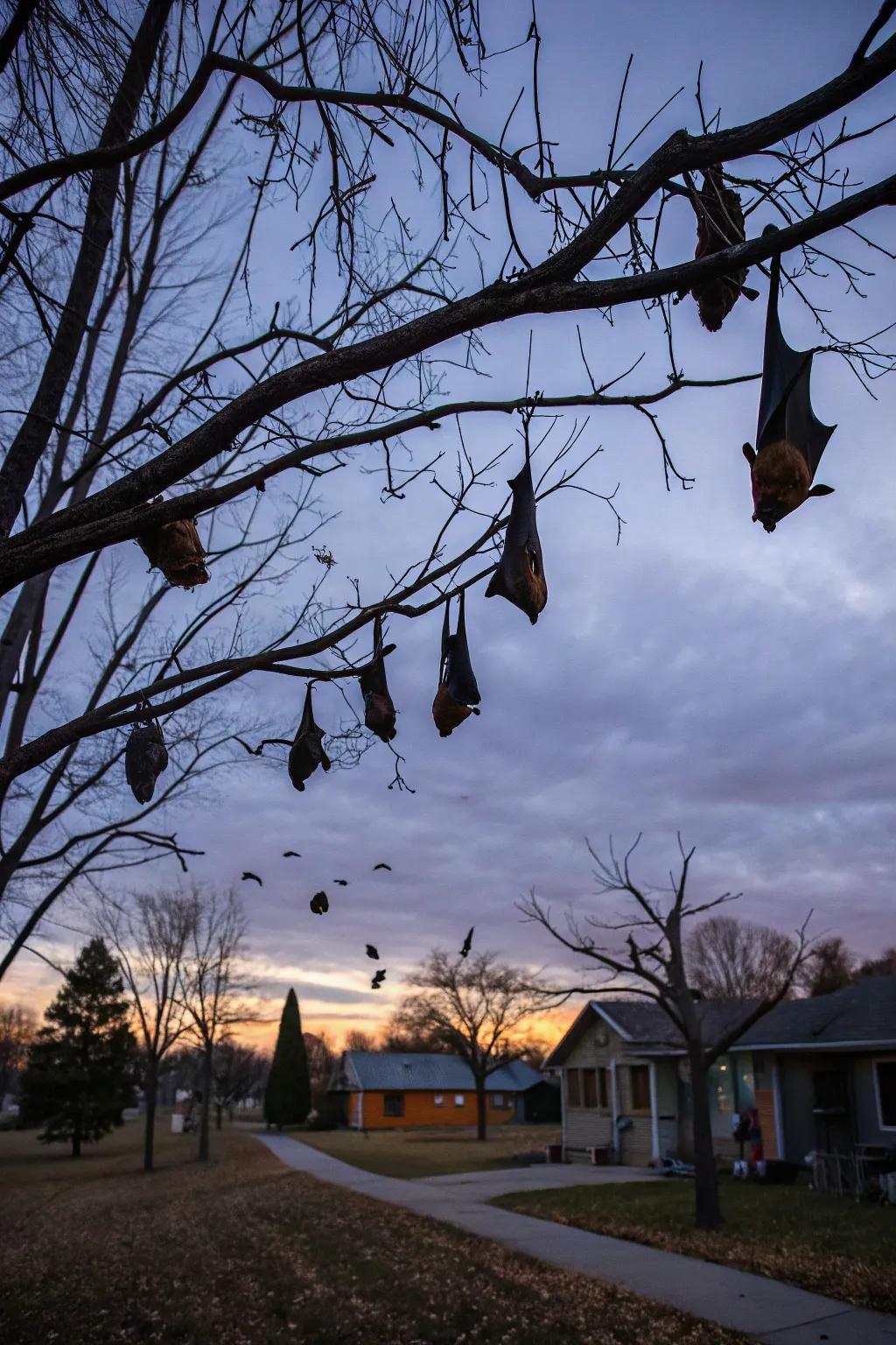 Hanging bats creating an enchanting silhouette in the evening sky.