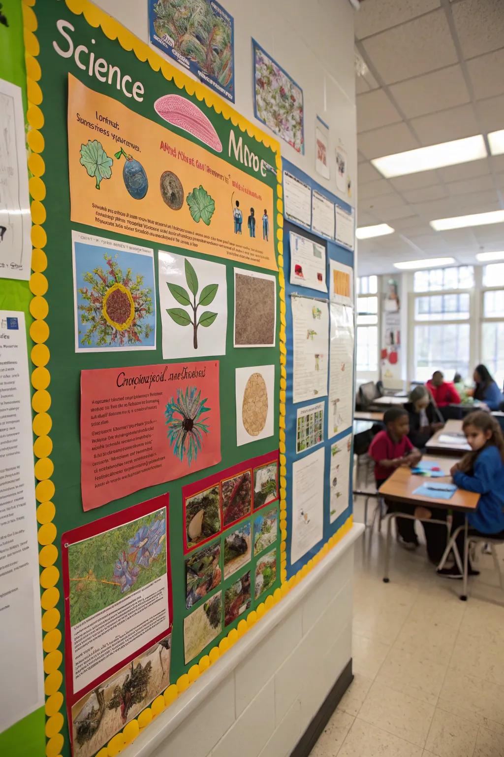 A bulletin board that inspires curiosity about science and nature