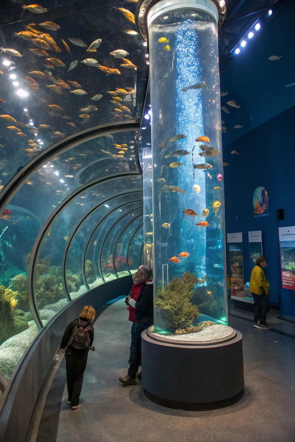 An interactive experience designed within a tall aquarium.