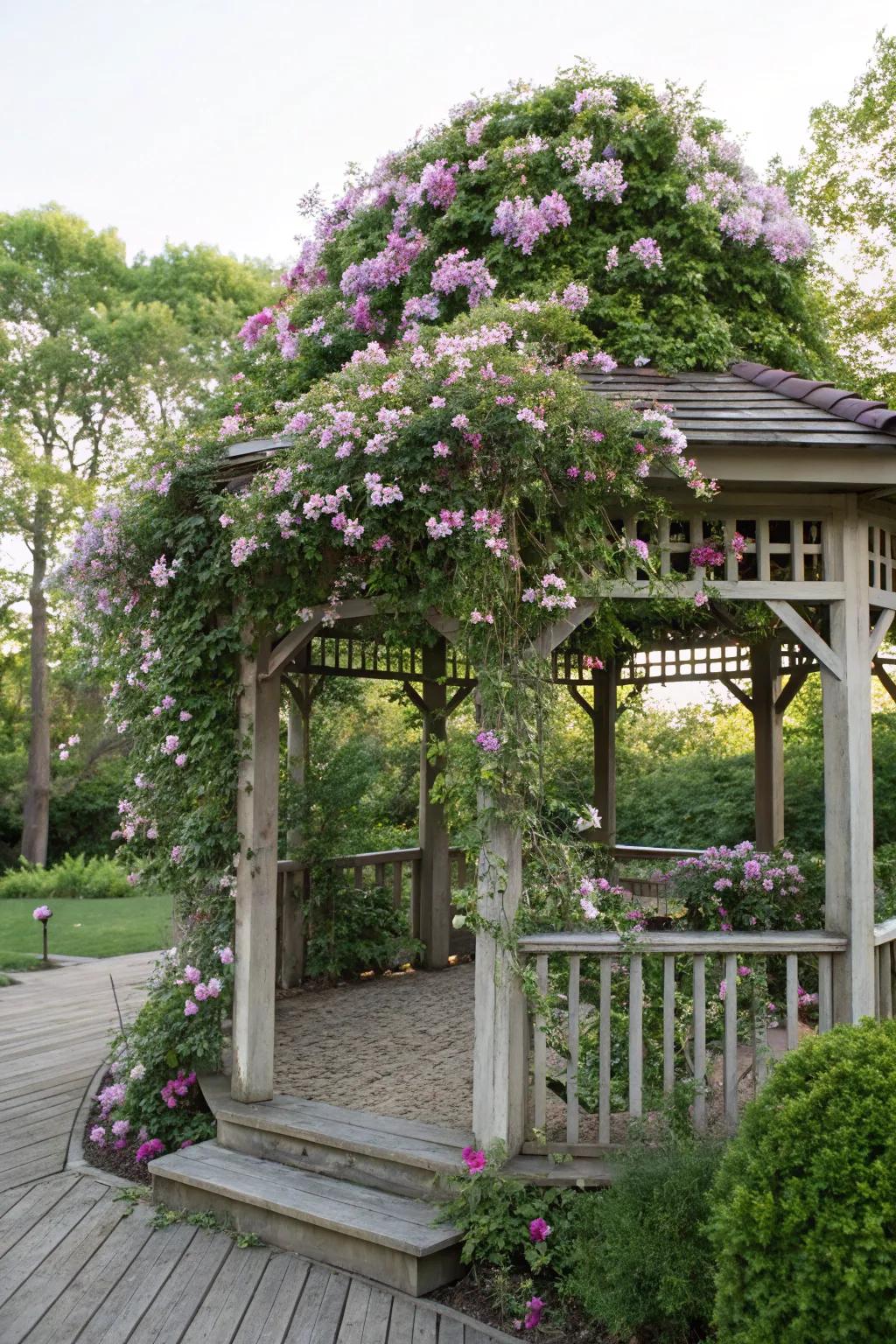 A gazebo trellis becomes a romantic retreat with blooming clematis.