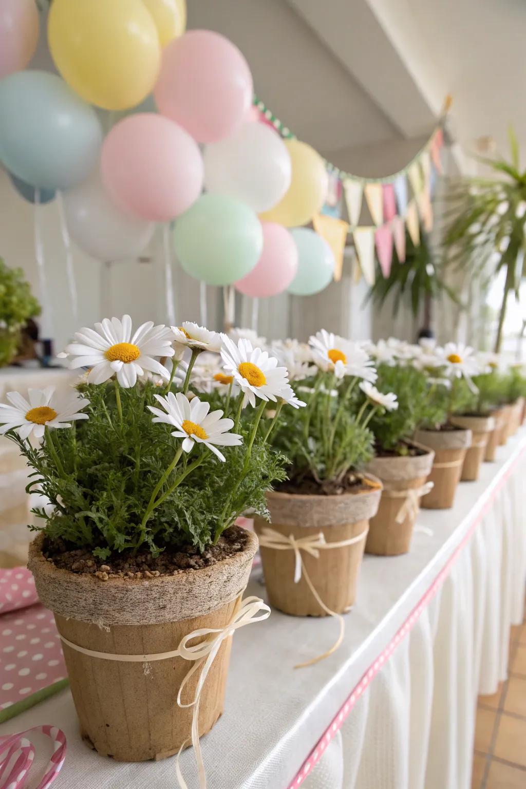 Opt for eco-friendly daisy decorations.