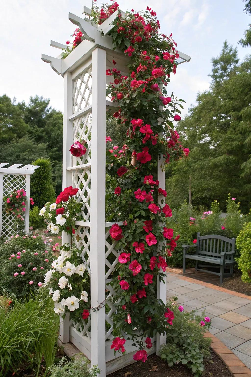 A seasonal themed trellis adds festive charm to a garden with blooming mandevilla.