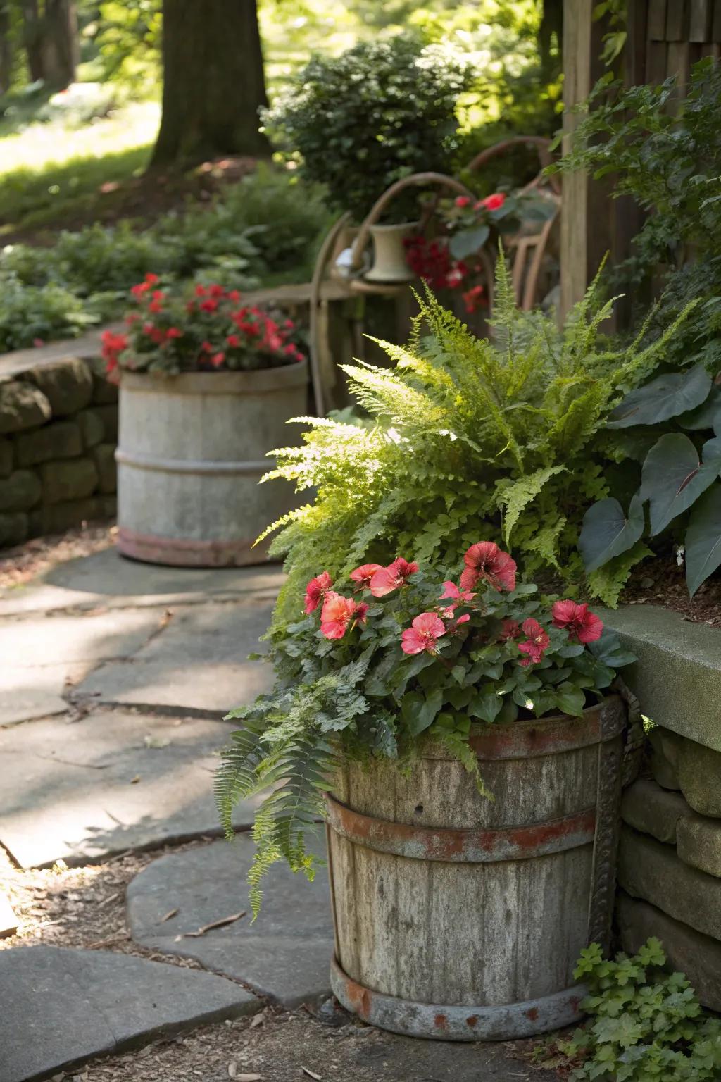 A shaded garden with vintage containers repurposed as planters filled with ferns and begonias.