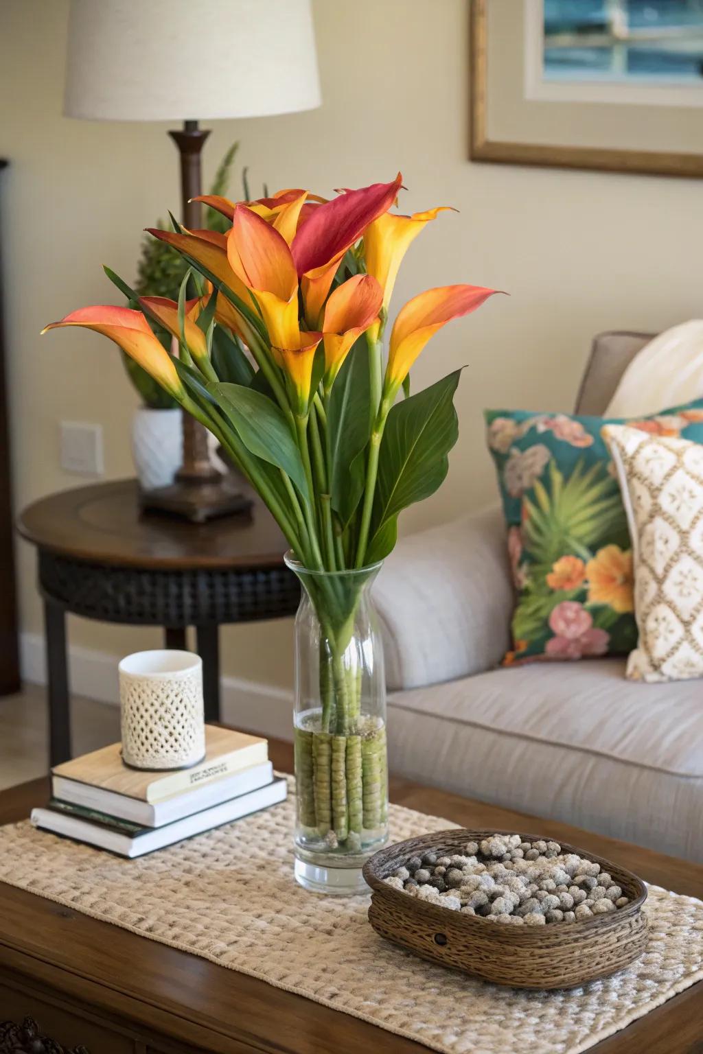 Bring the tropics indoors with canna lily displays.