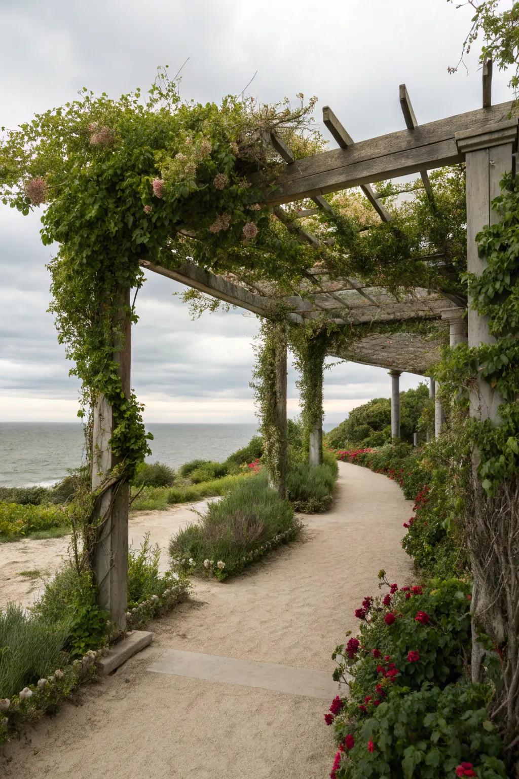 A pergola provides shade and elegance in coastal gardens.