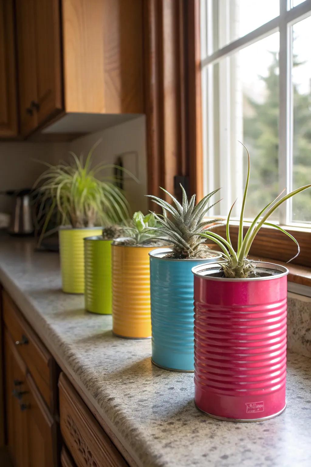 Upcycled tin cans offer a budget-friendly and eco-conscious display.