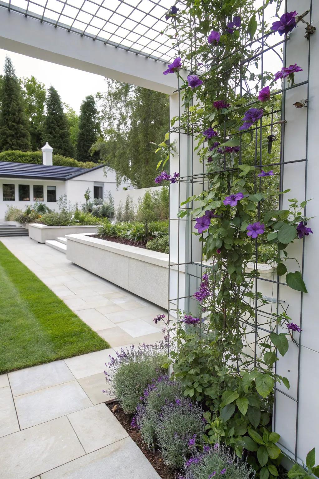 A wire mesh trellis offers minimalist support for clematis.