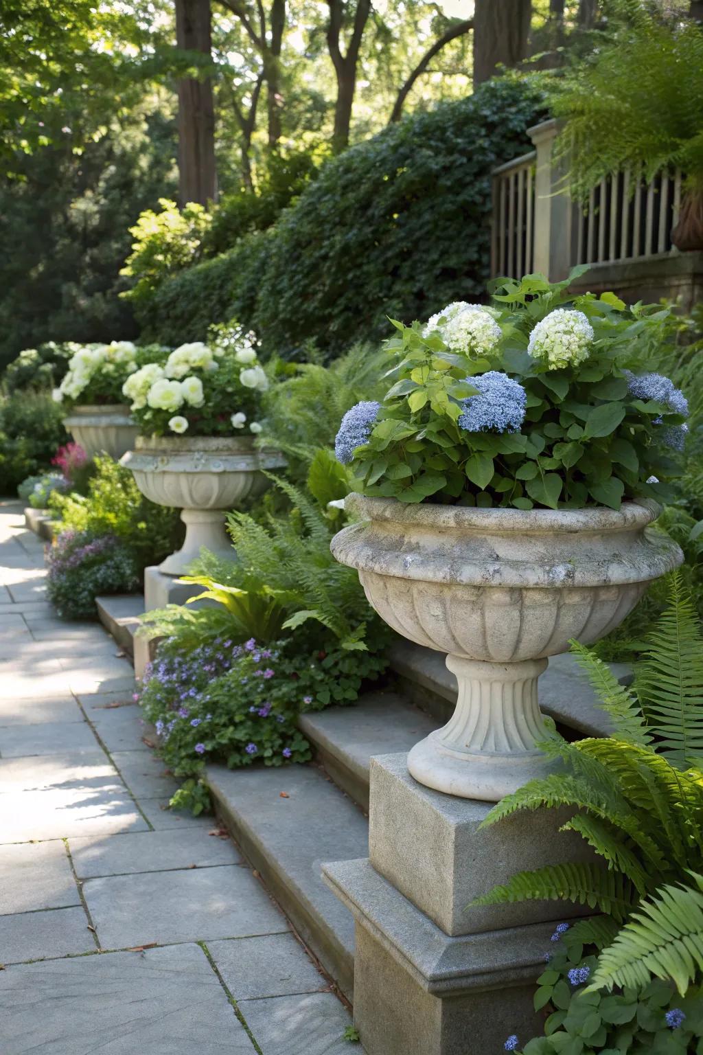 A shaded garden with sophisticated stone planters featuring hydrangeas and ferns.