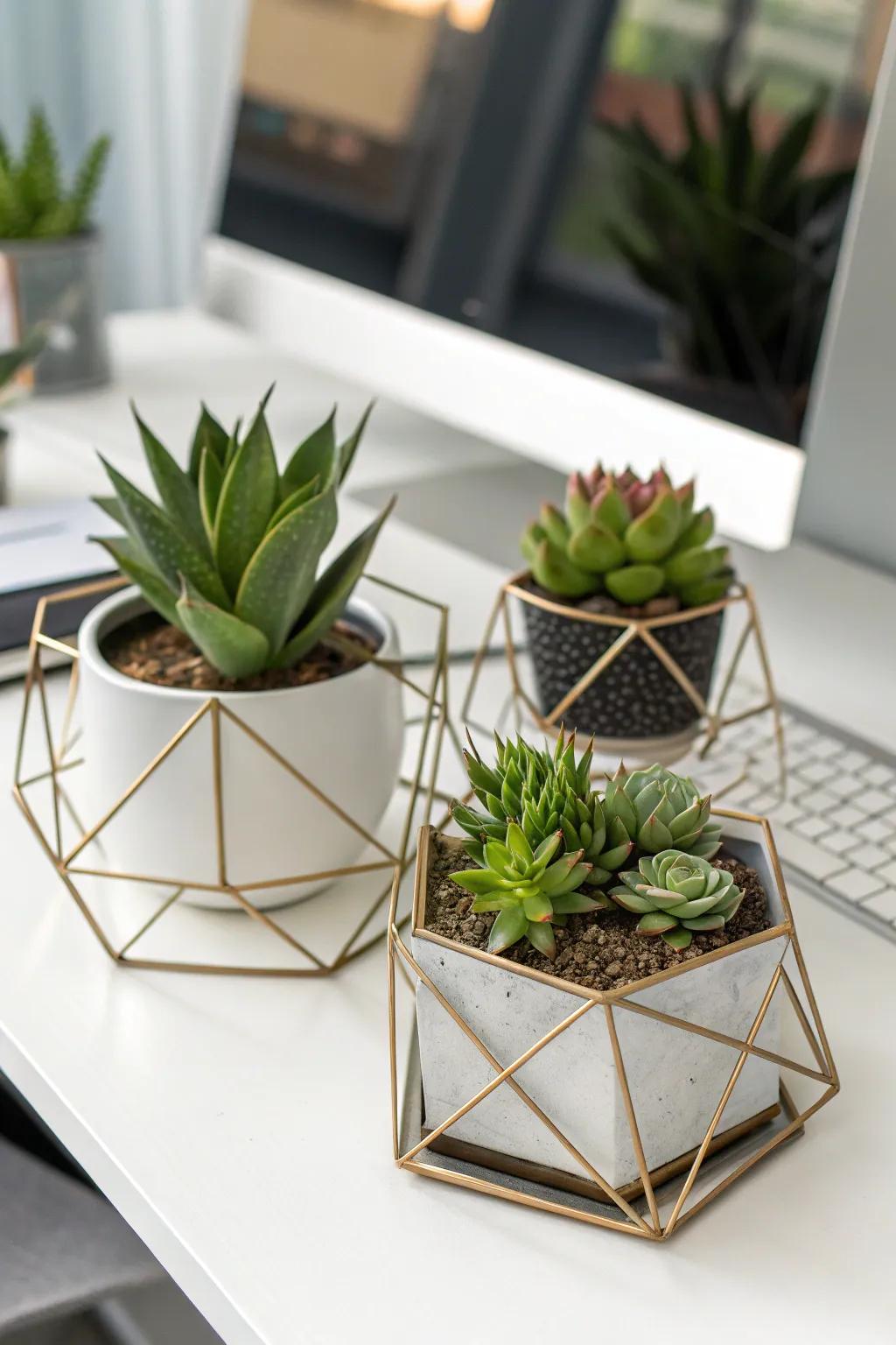 Geometric metal planters offer a sleek, contemporary look for succulents.