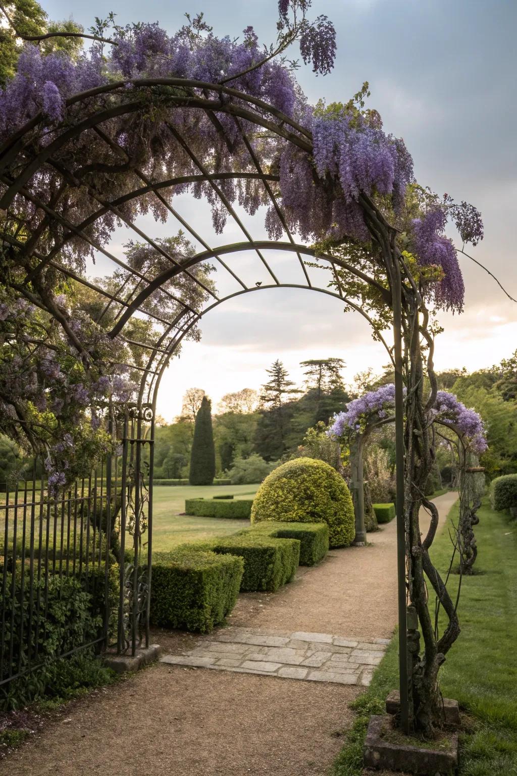 Wrought iron arches provide enduring beauty and support for climbing plants.