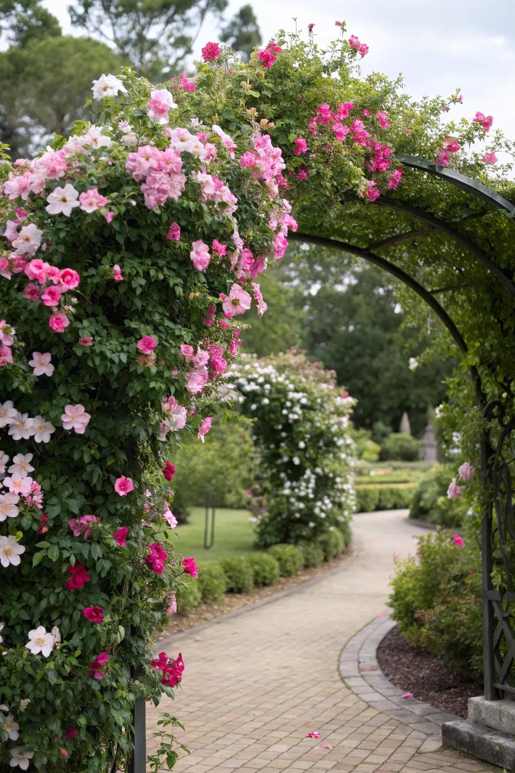 An arch trellis with mandevilla flowers creates a welcoming and vibrant garden entryway.