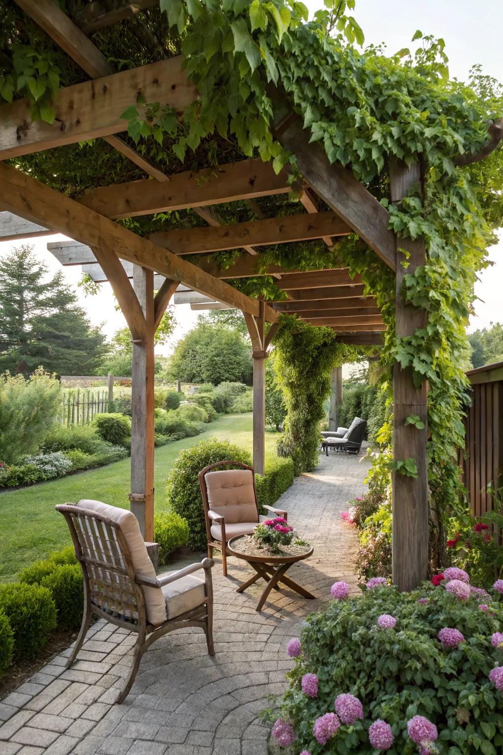 A pergola with climbing plants creates a serene and stylish outdoor space.