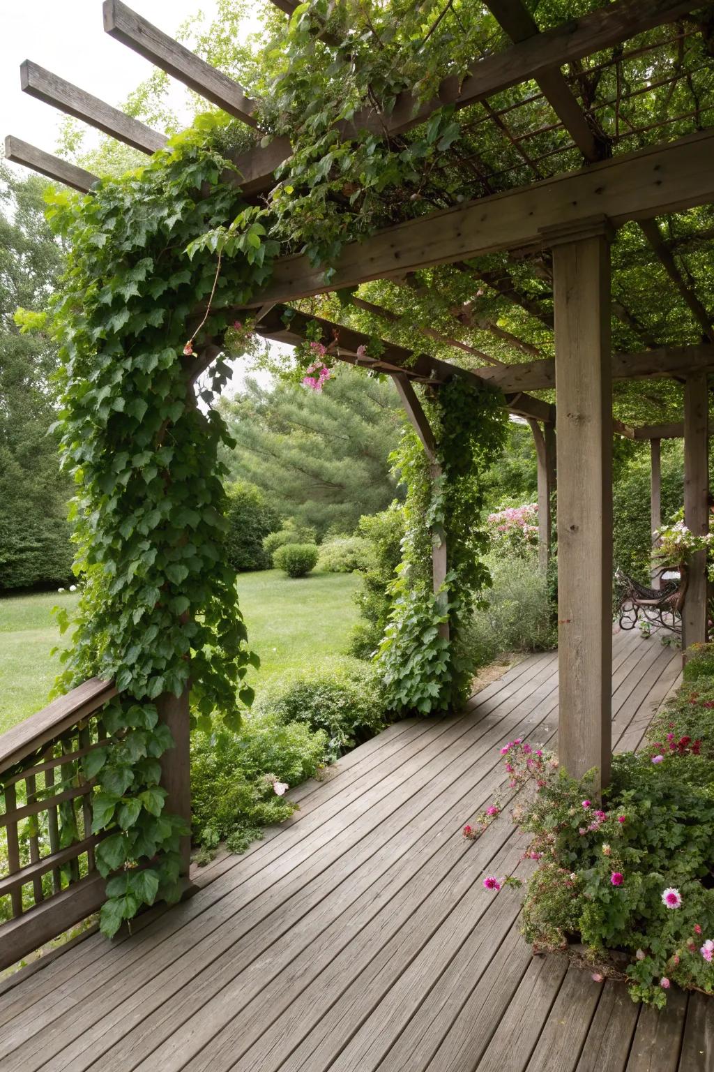 A pergola with climbing plants, integrating nature into the design.