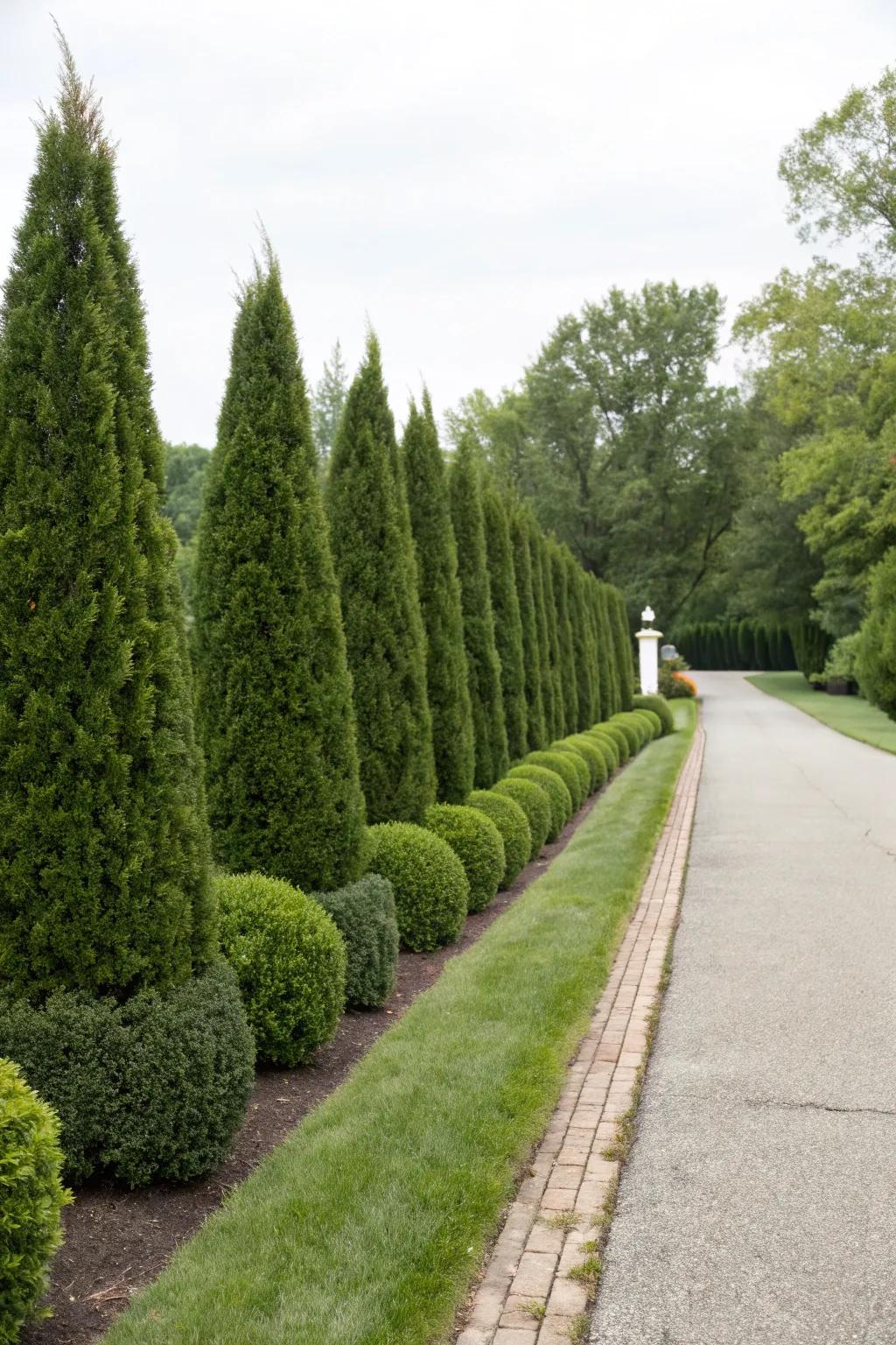 Evergreen shrubs offer continuous greenery and structure.