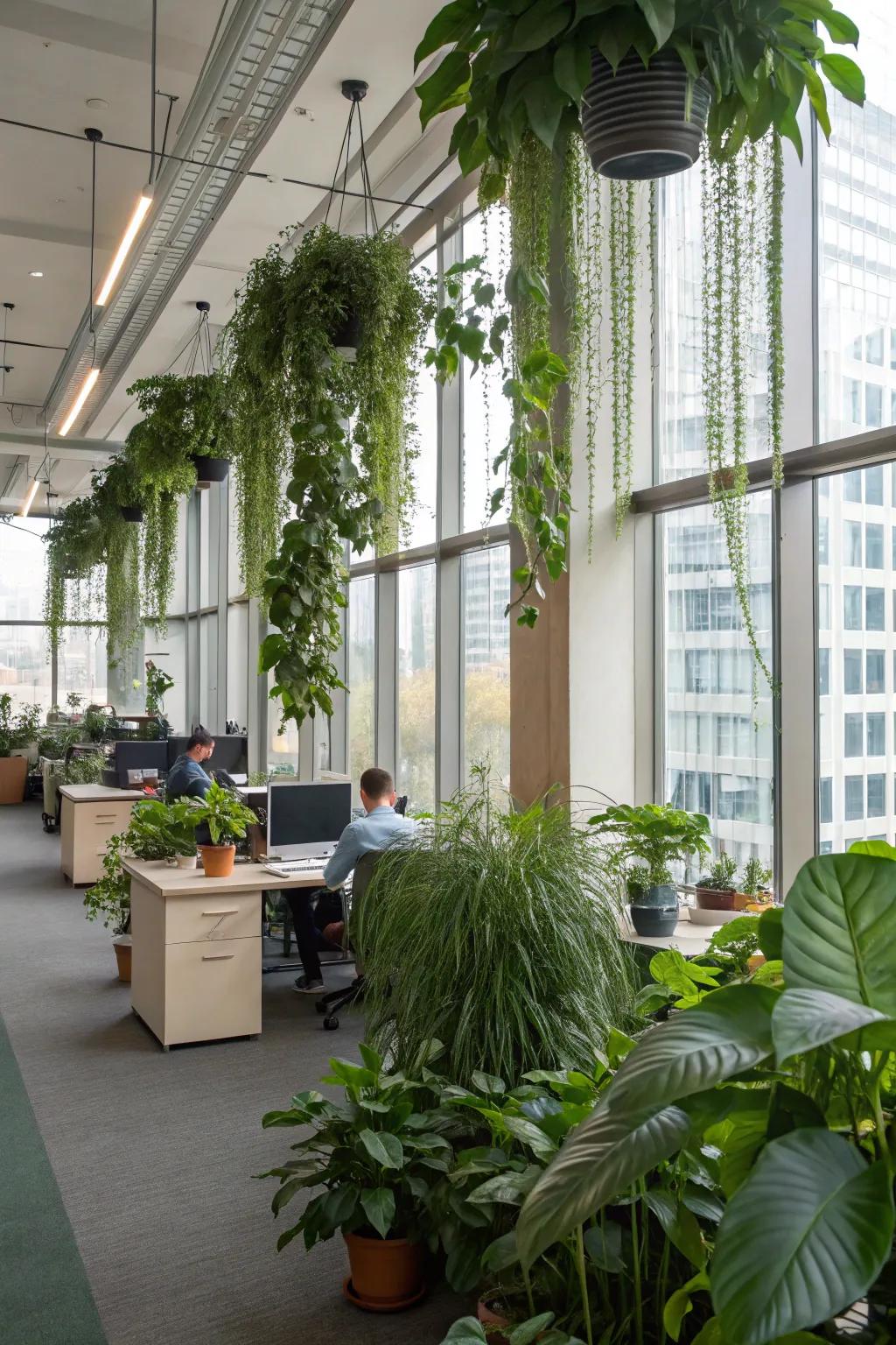 An office adorned with indoor plants and greenery.