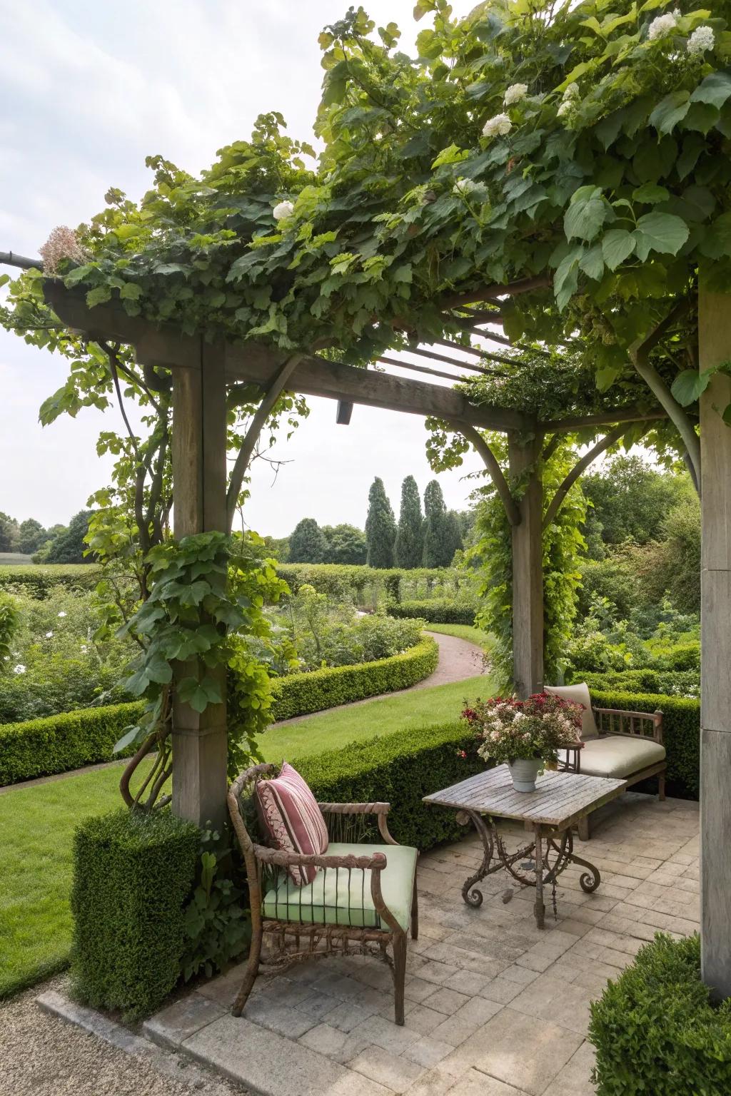 A pergola oasis invites shade and tranquility.