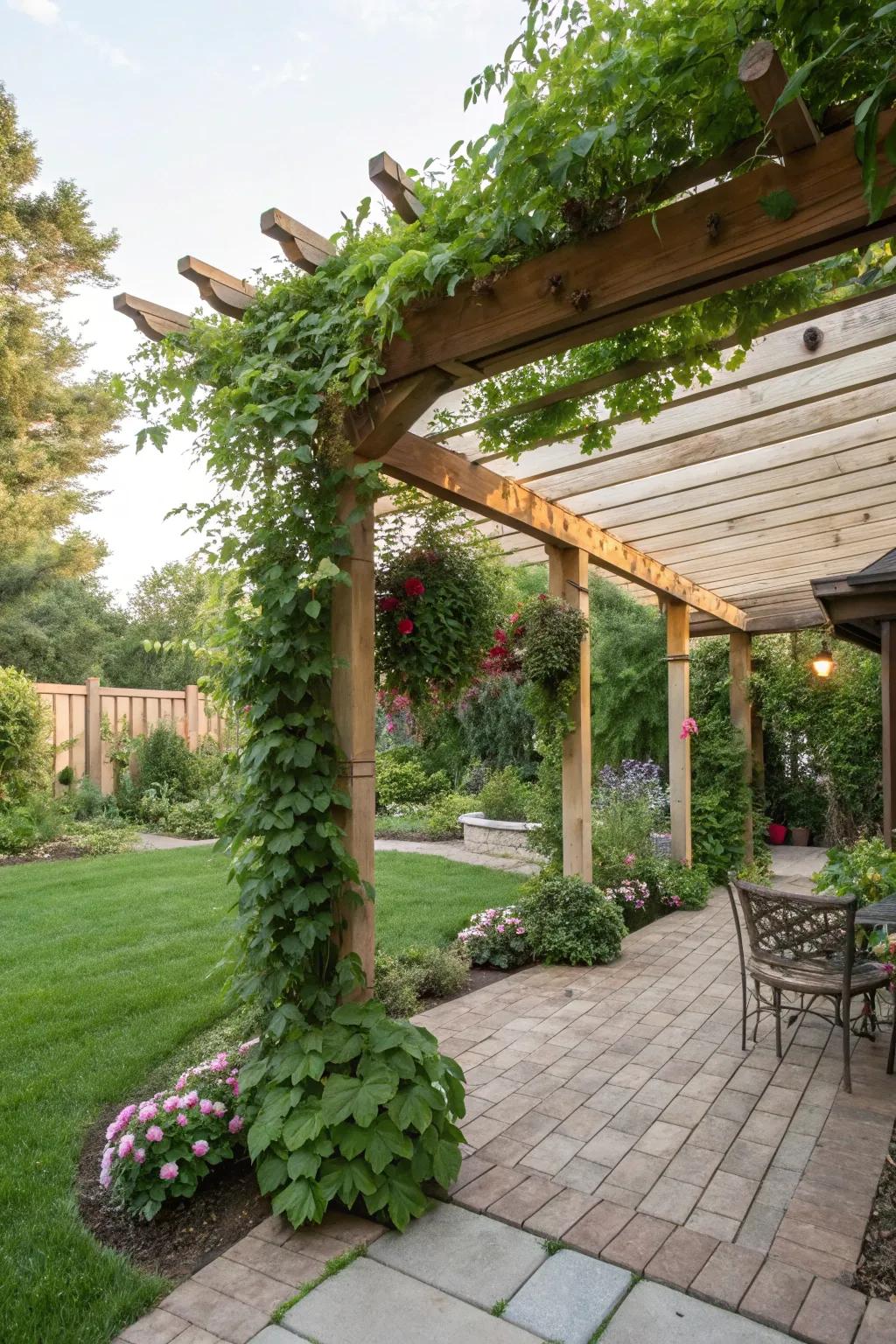 A pergola with climbing plants creates a shaded retreat.