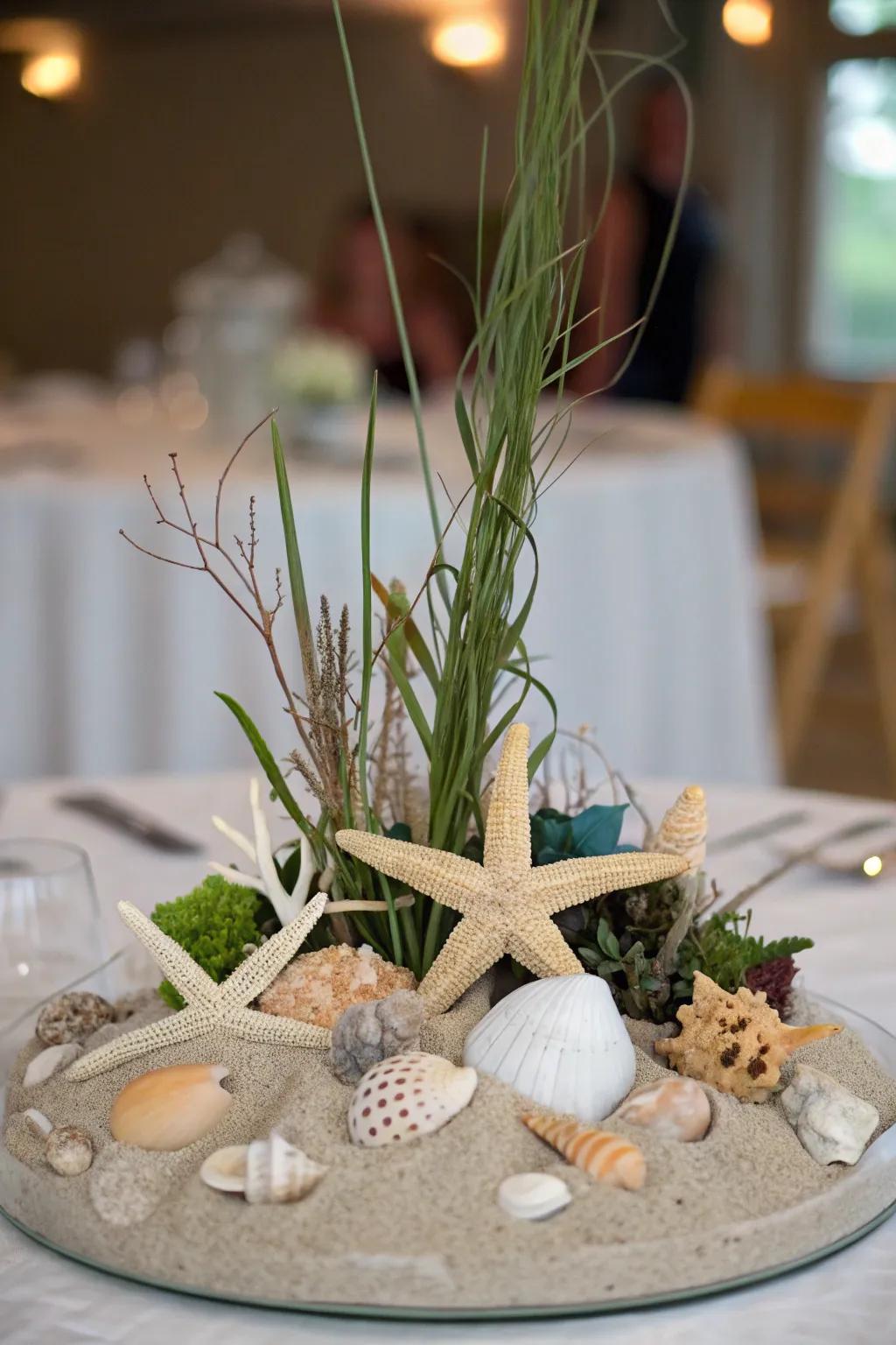 Seashells and starfish bring an oceanic vibe to your decor.