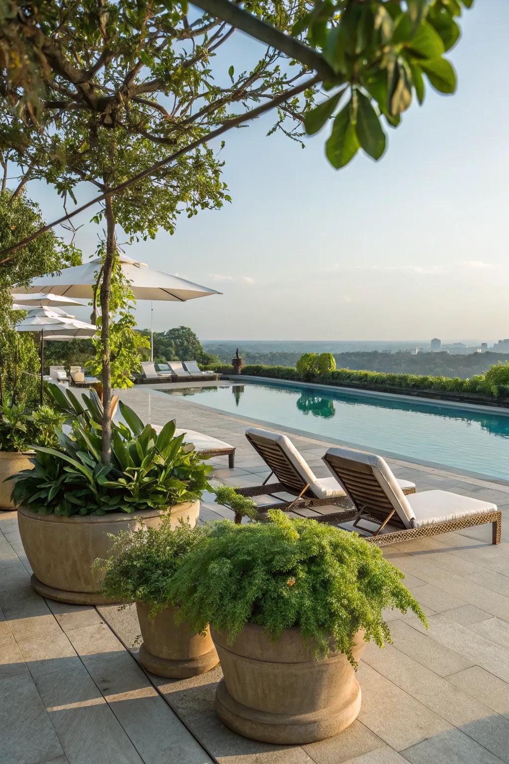 Natural elements with planters and greenery enhancing the pool deck.