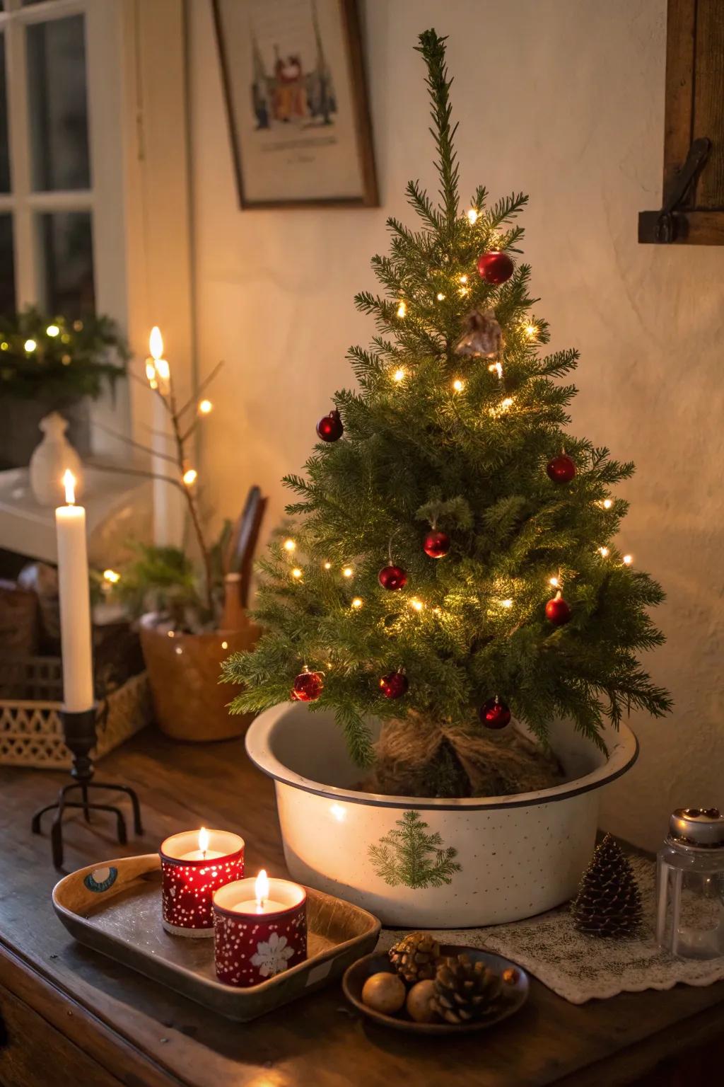 A nostalgic tabletop tree set in a vintage enamelware basin.