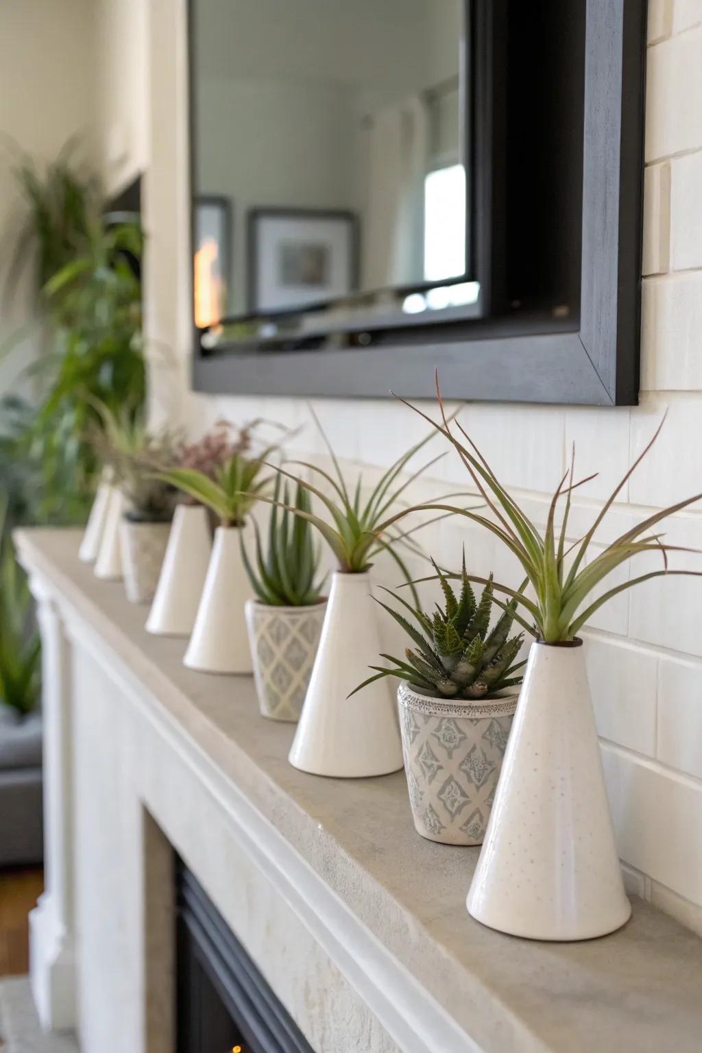 Ceramic cones provide a sleek and modern display for air plants.