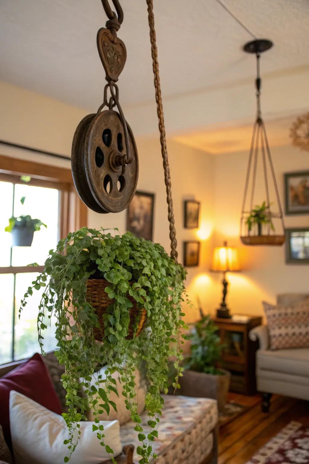 Elevate your greenery game with a pulley plant hanger.