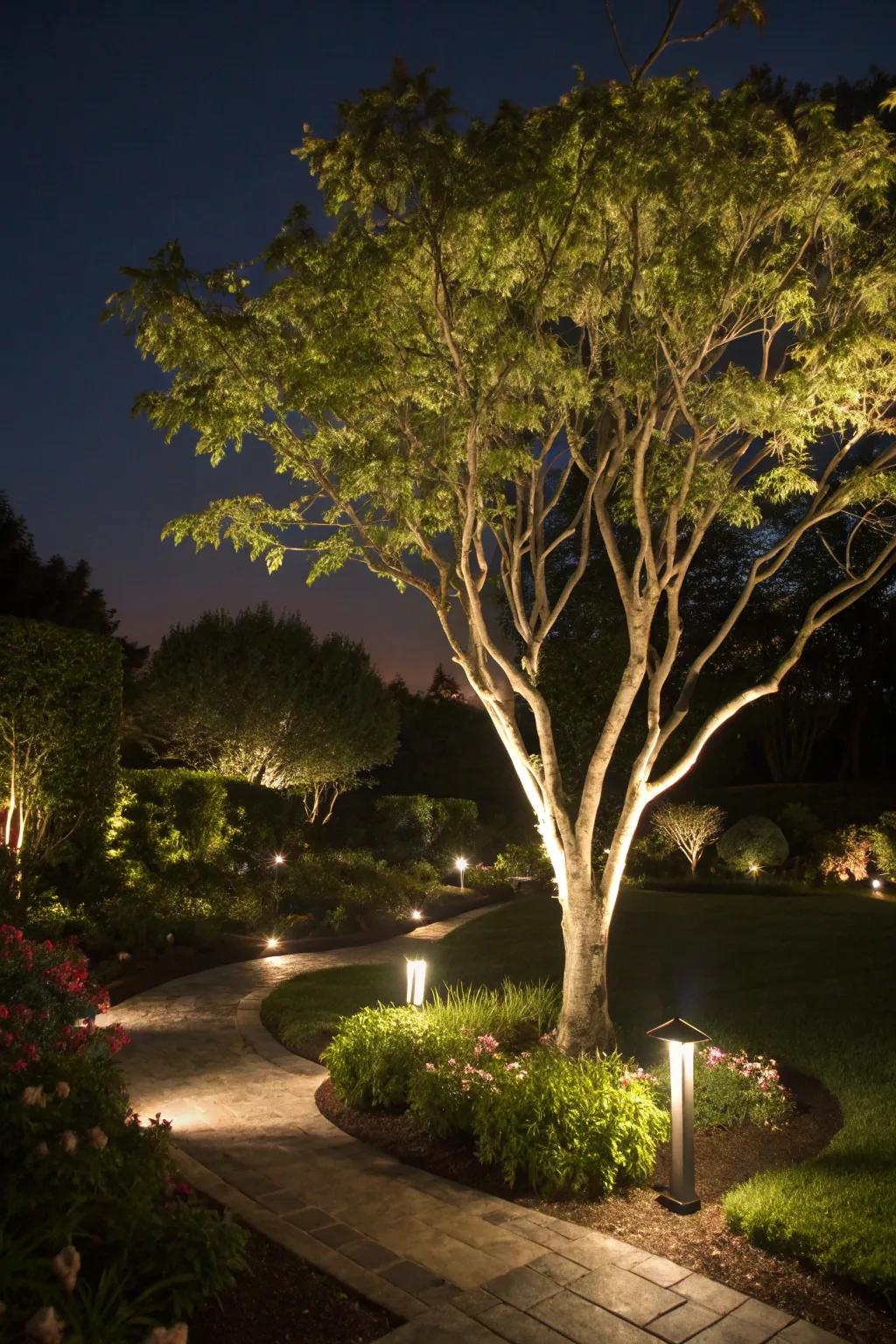 Spotlight your garden's beauty with solar lights.