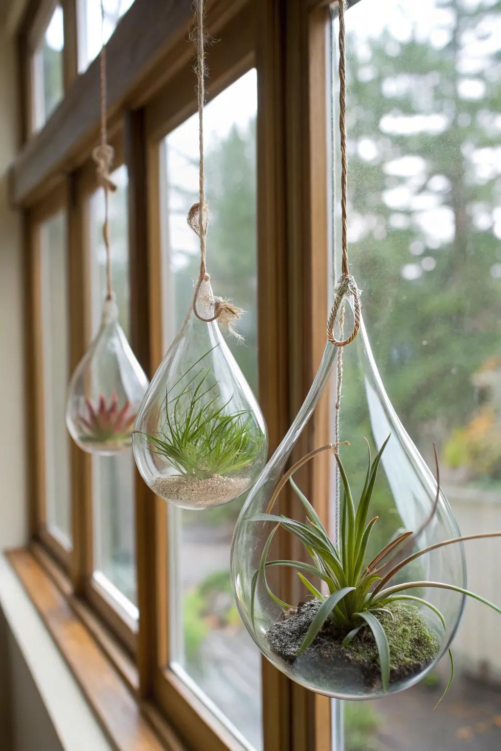 Teardrop glass hangers create a delicate and airy display.