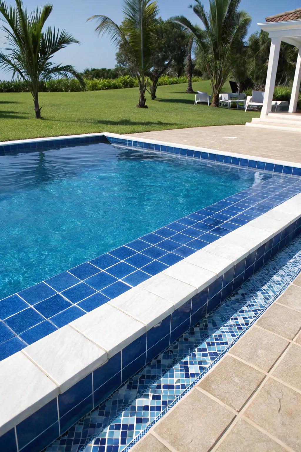 Contrasting colors in coping enhance the pool's visual appeal.