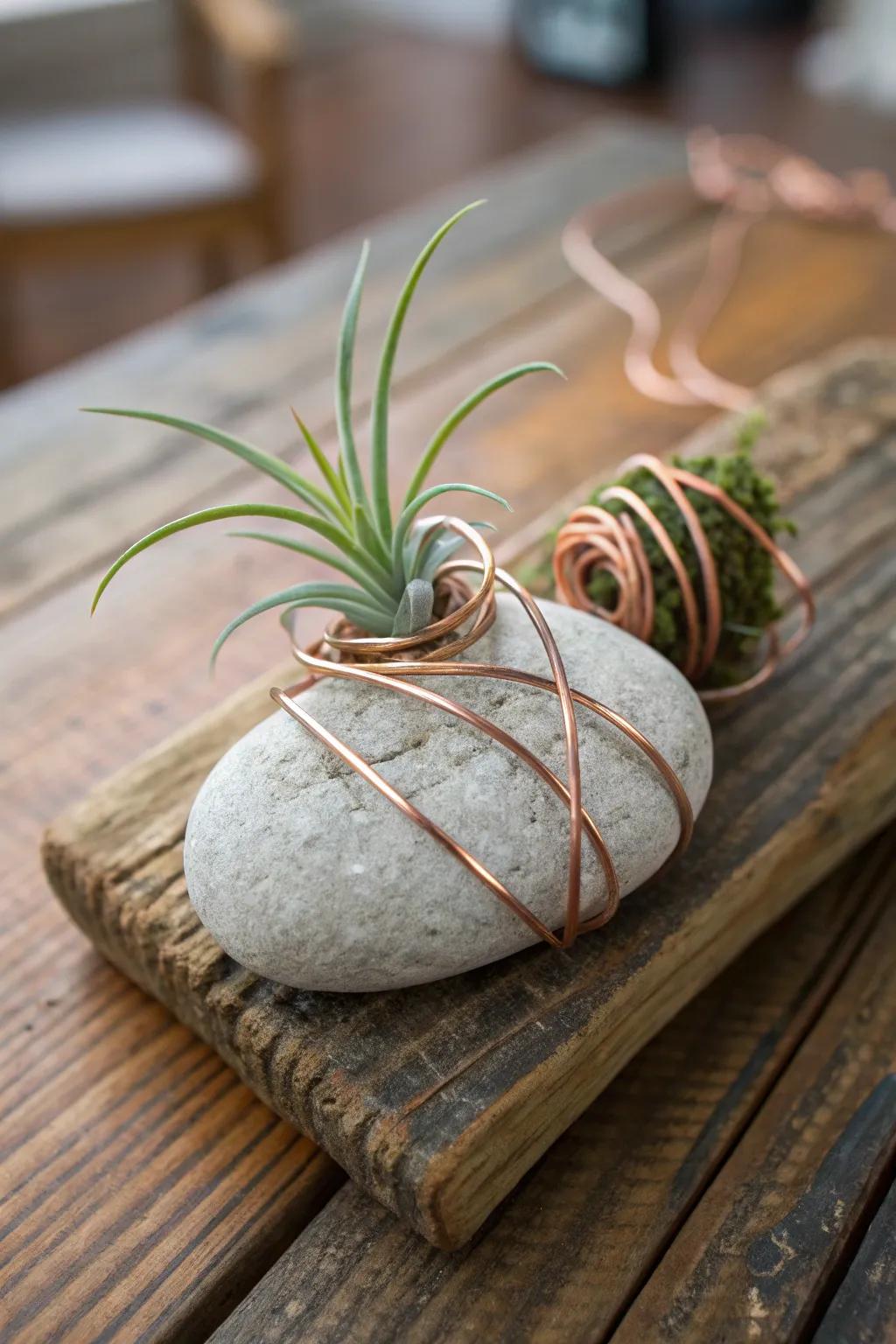 Stones and wire combine for a unique and natural air plant holder.