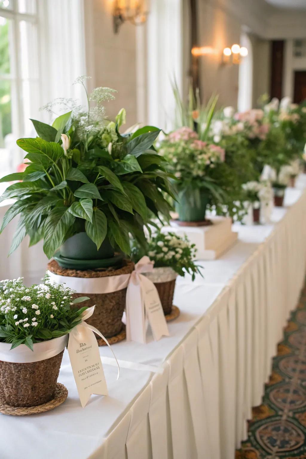 Potted plants providing dual-purpose decor and guest favors.