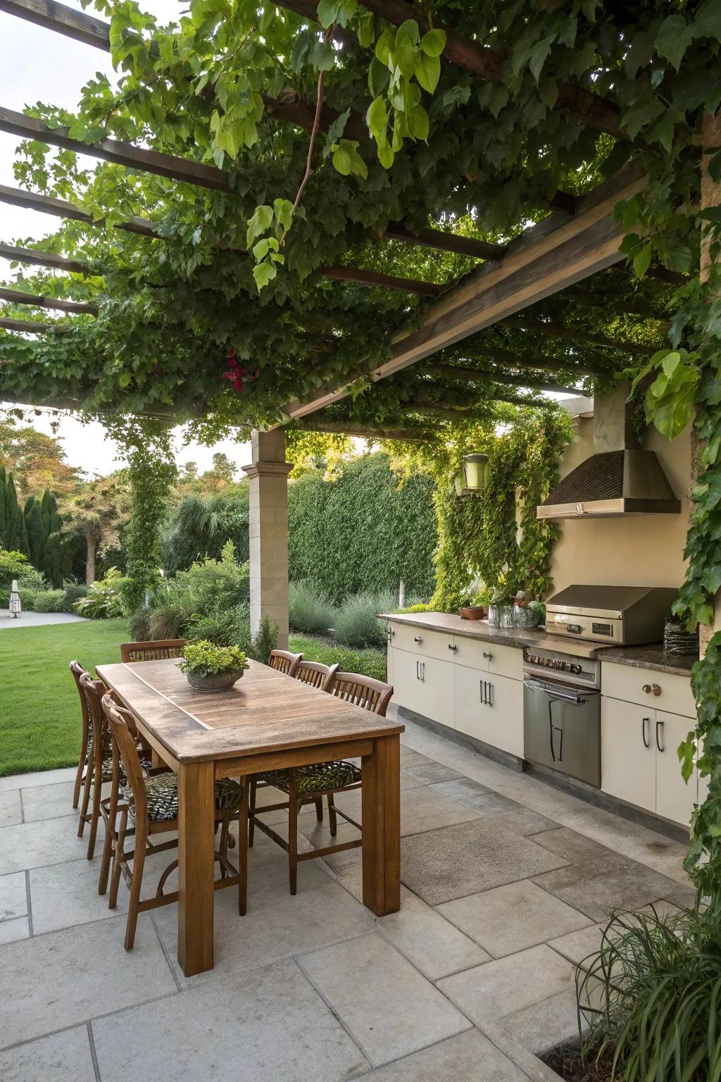 Climbing vines on a pergola create a lush, natural canopy.